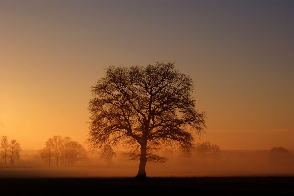 Sonnenaufgang mit Nebel