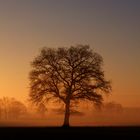 Sonnenaufgang mit Nebel