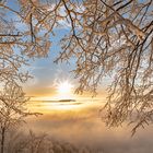 Sonnenaufgang mit Nebel