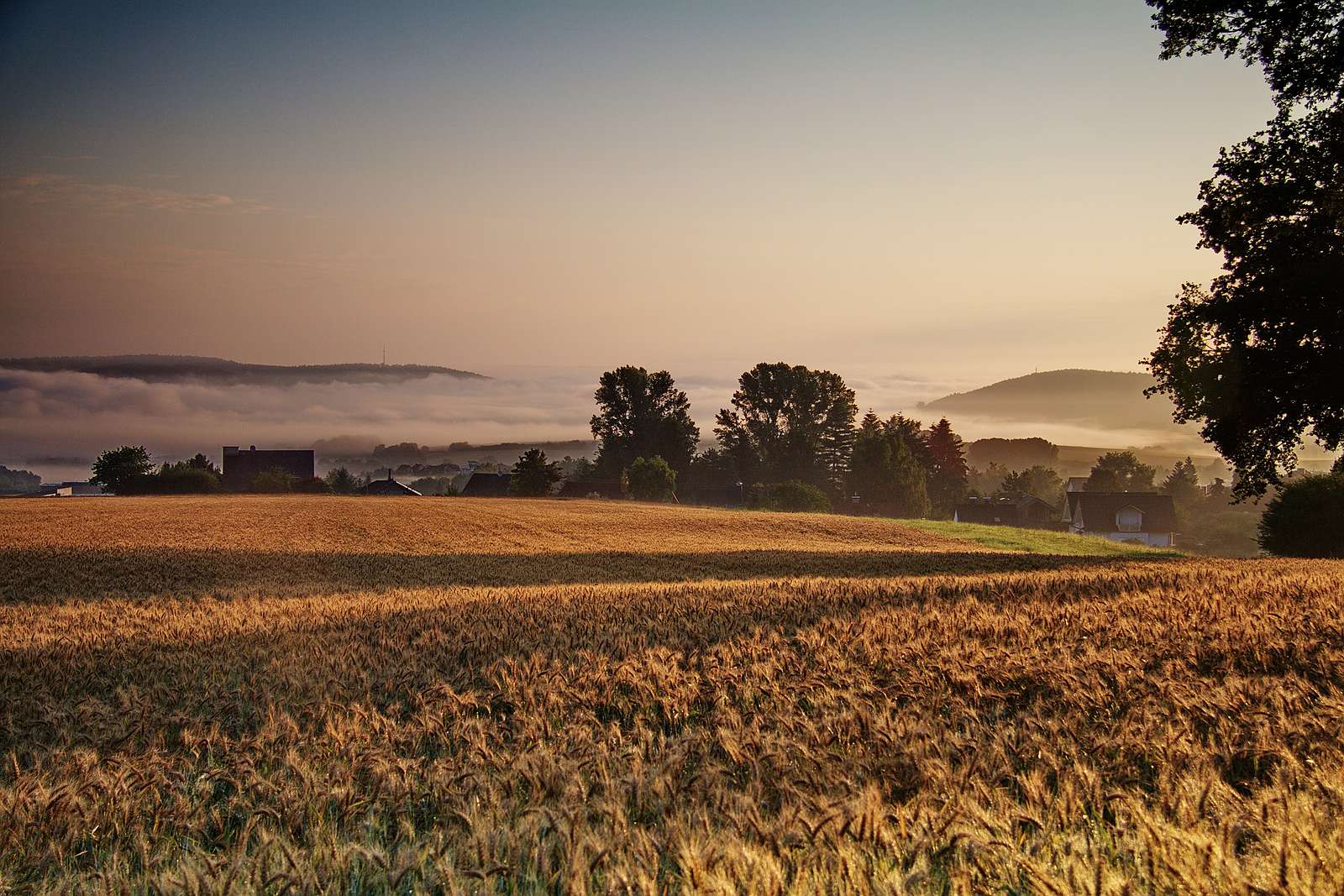 Sonnenaufgang mit Nebel Quer