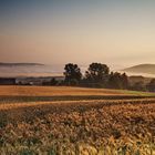 Sonnenaufgang mit Nebel Quer