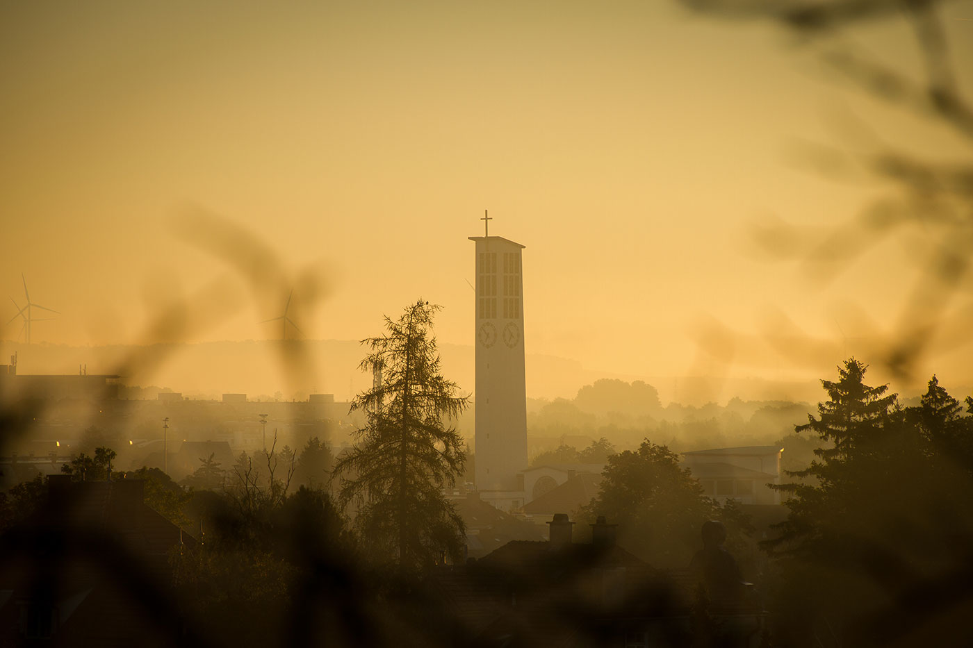 Sonnenaufgang mit Nebel - Sept. 2020