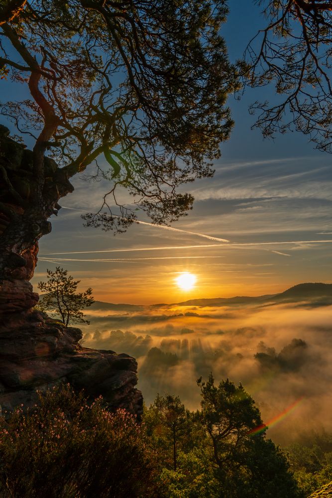 Sonnenaufgang mit Nebel über Busenberg