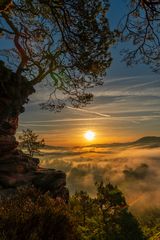 Sonnenaufgang mit Nebel über Busenberg