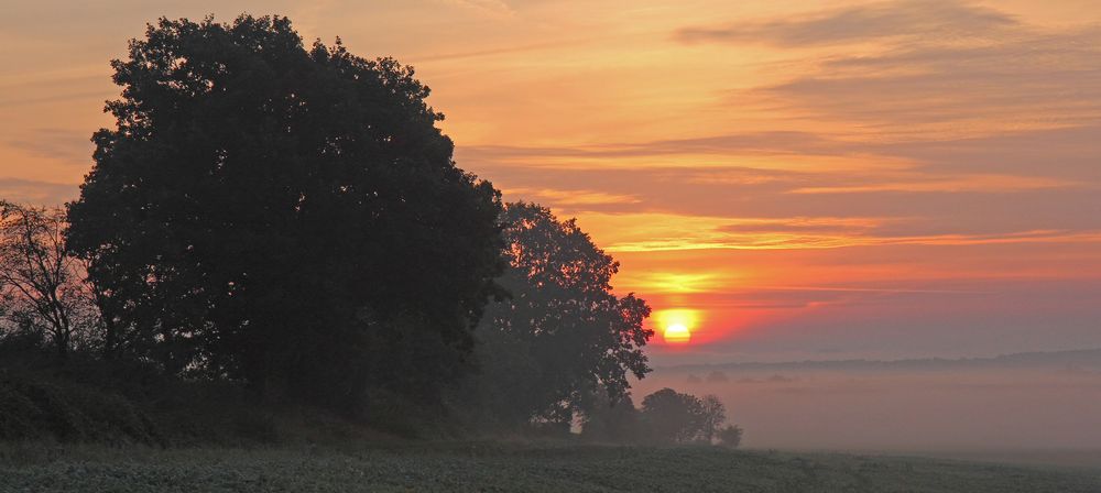 Sonnenaufgang mit Nebel über den Feldern gestern morgens und...