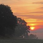 Sonnenaufgang mit Nebel über den Feldern gestern morgens und...