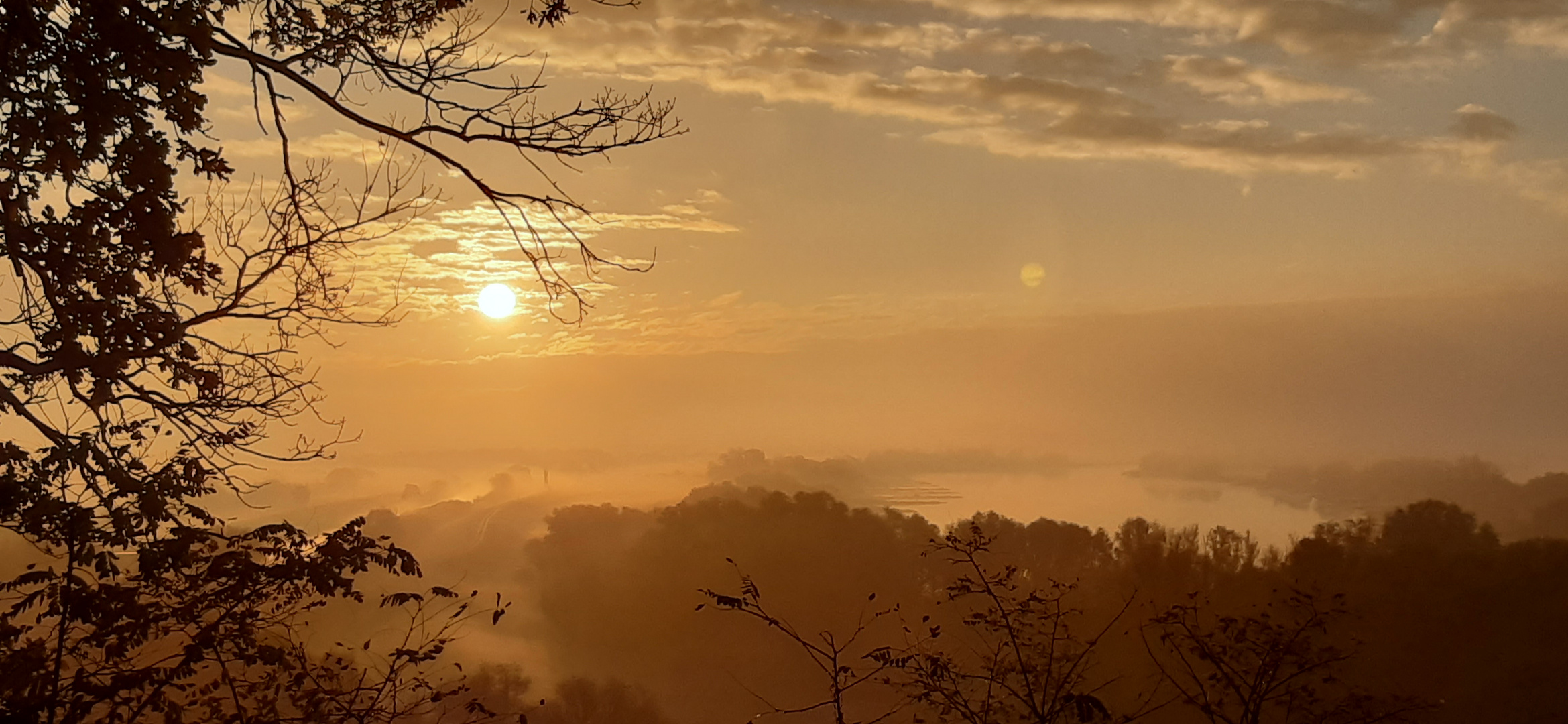 Sonnenaufgang mit Nebel über der Elbe