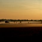 Sonnenaufgang mit Nebelschwaden  am Morgen