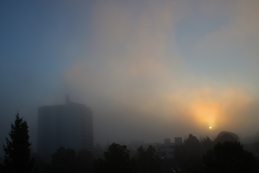 Sonnenaufgang mit Nebelstimmung
