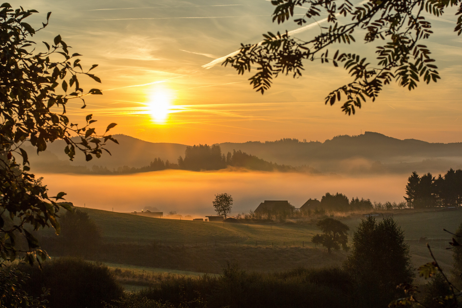 Sonnenaufgang mit Nebelstimmung