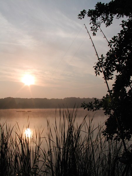 Sonnenaufgang mit Ruten