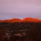 Sonnenaufgang mit Saharastaub