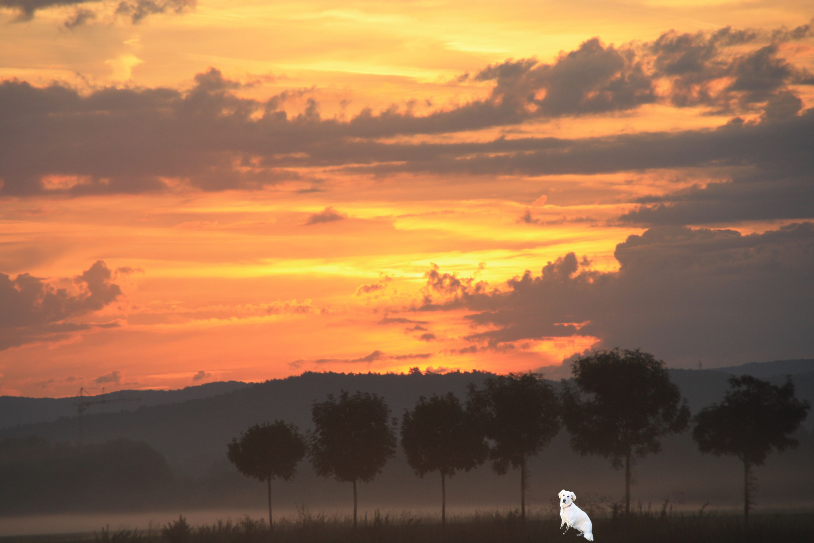 Sonnenaufgang mit Sandy