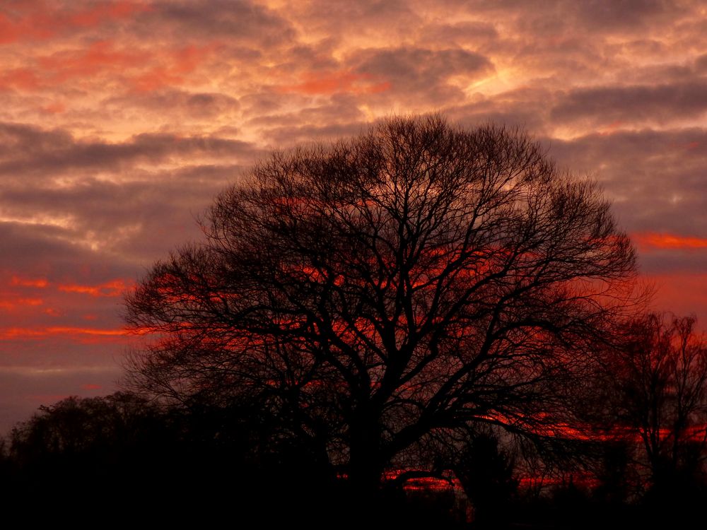 Sonnenaufgang mit schauriger Stimmung