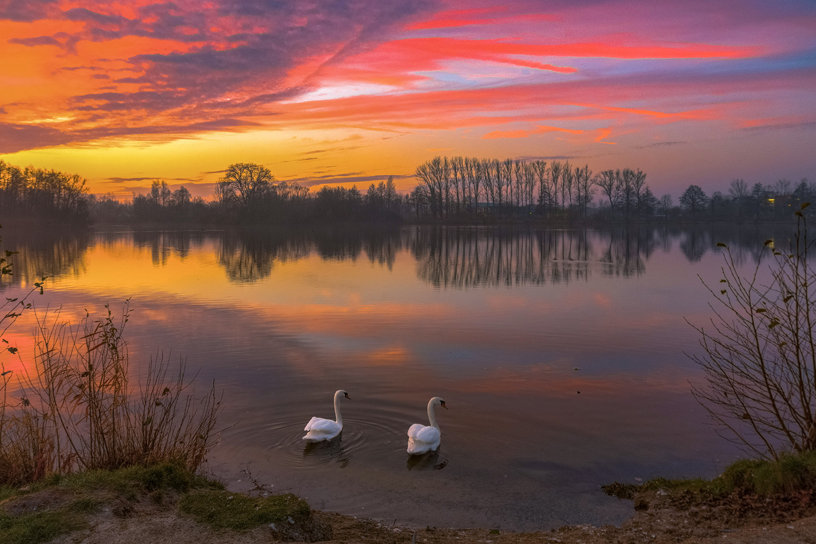 Sonnenaufgang mit Schwänen 2