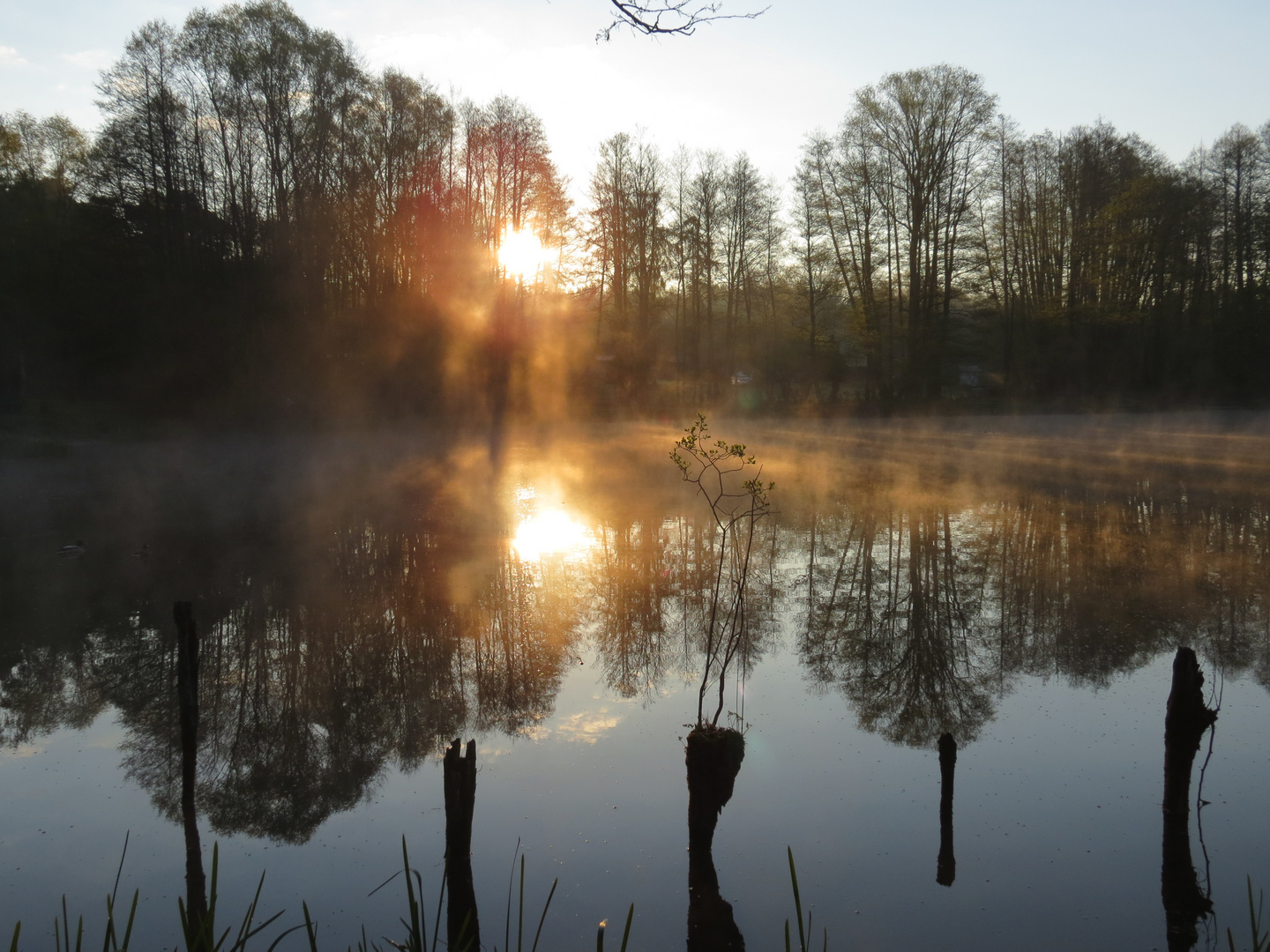 Sonnenaufgang mit Spiegelung im Briesesee