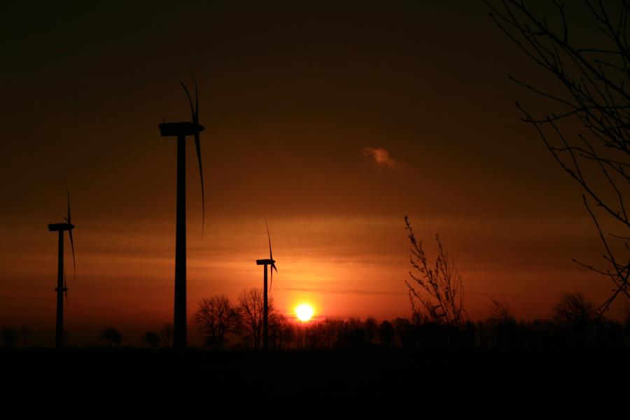 Sonnenaufgang mit Wind