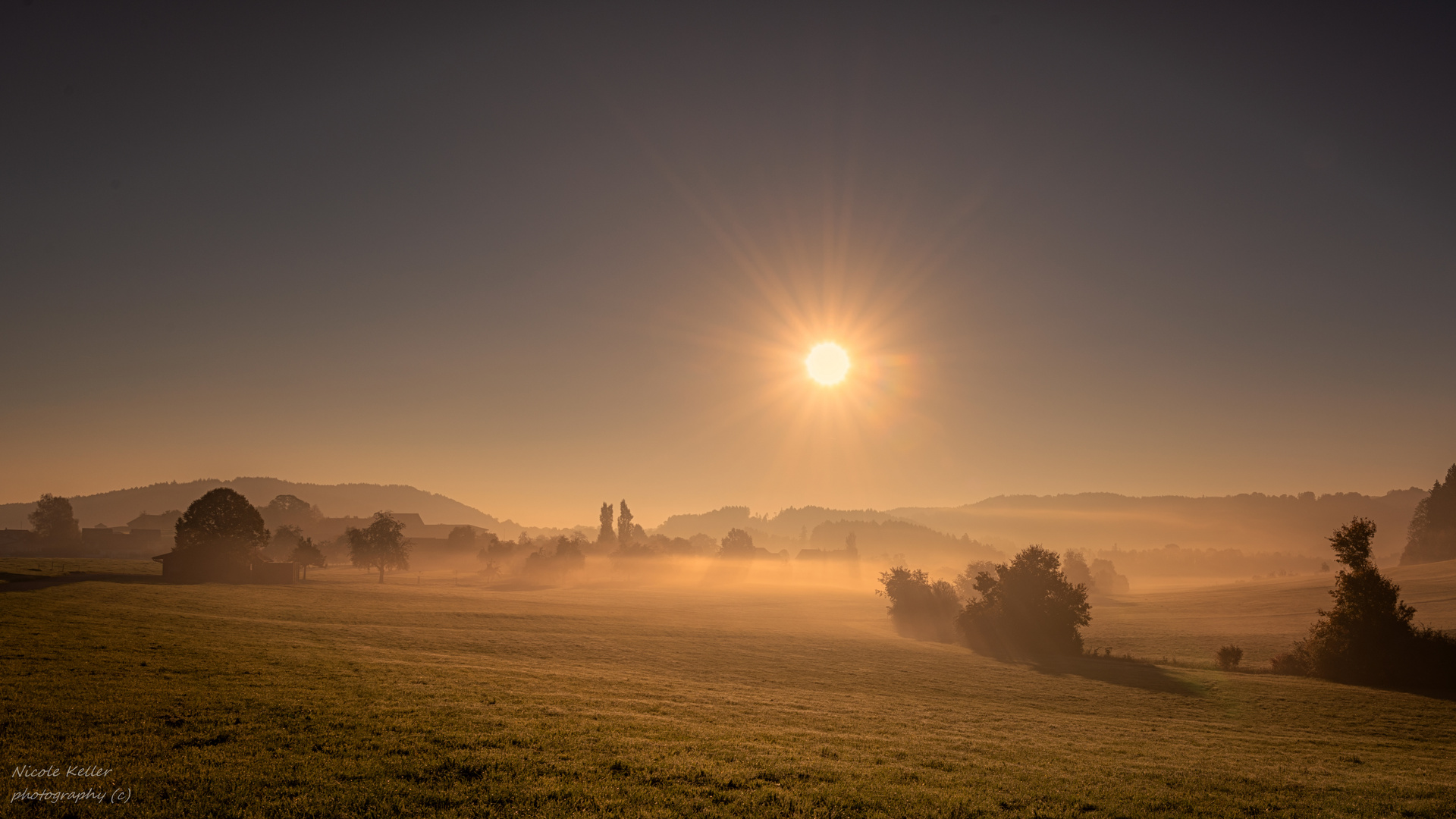 Sonnenaufgang mit zartem Bodennebel… wunderbare Landschaftsfotografie