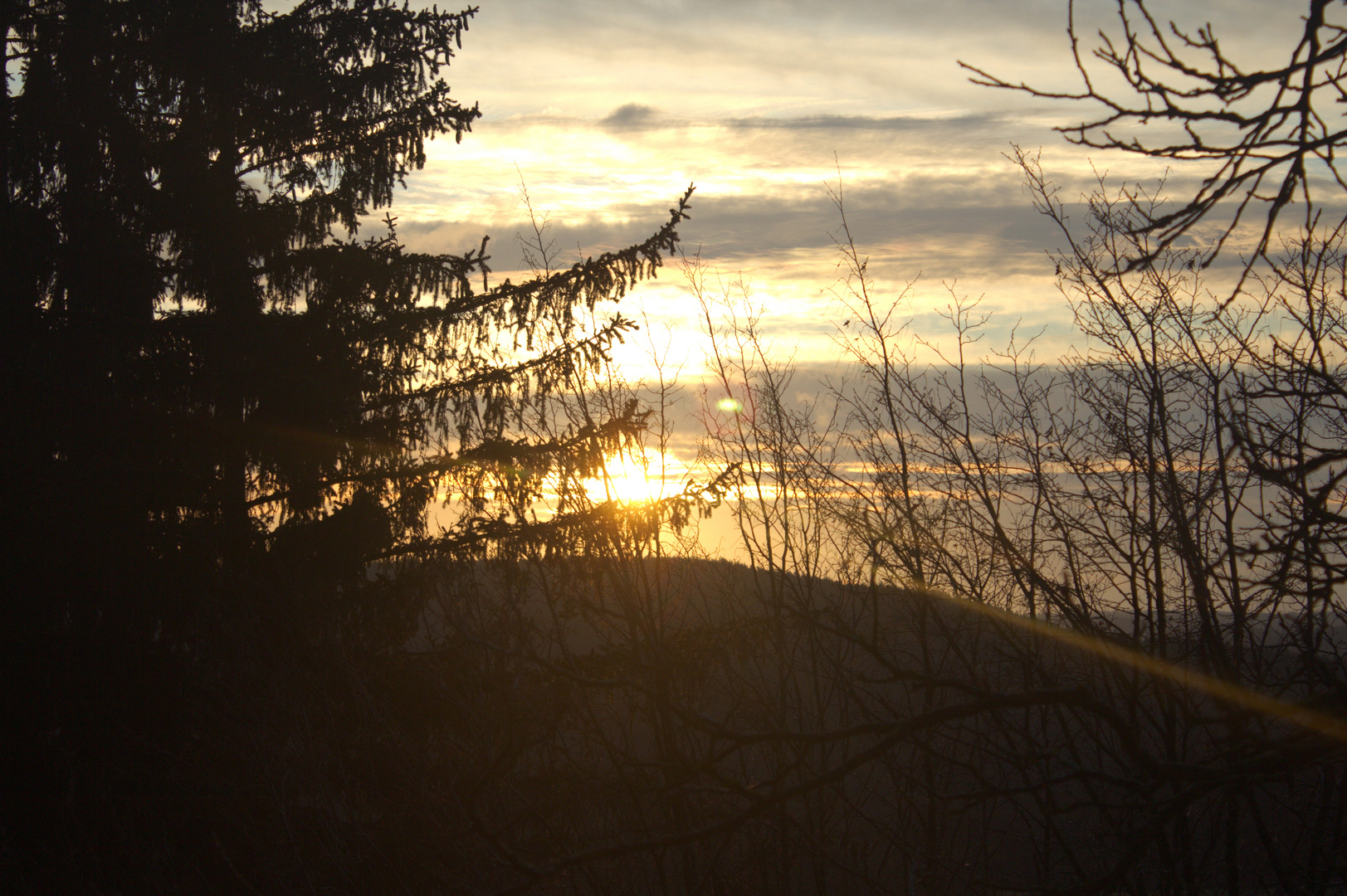 Sonnenaufgang mitten in der Natur