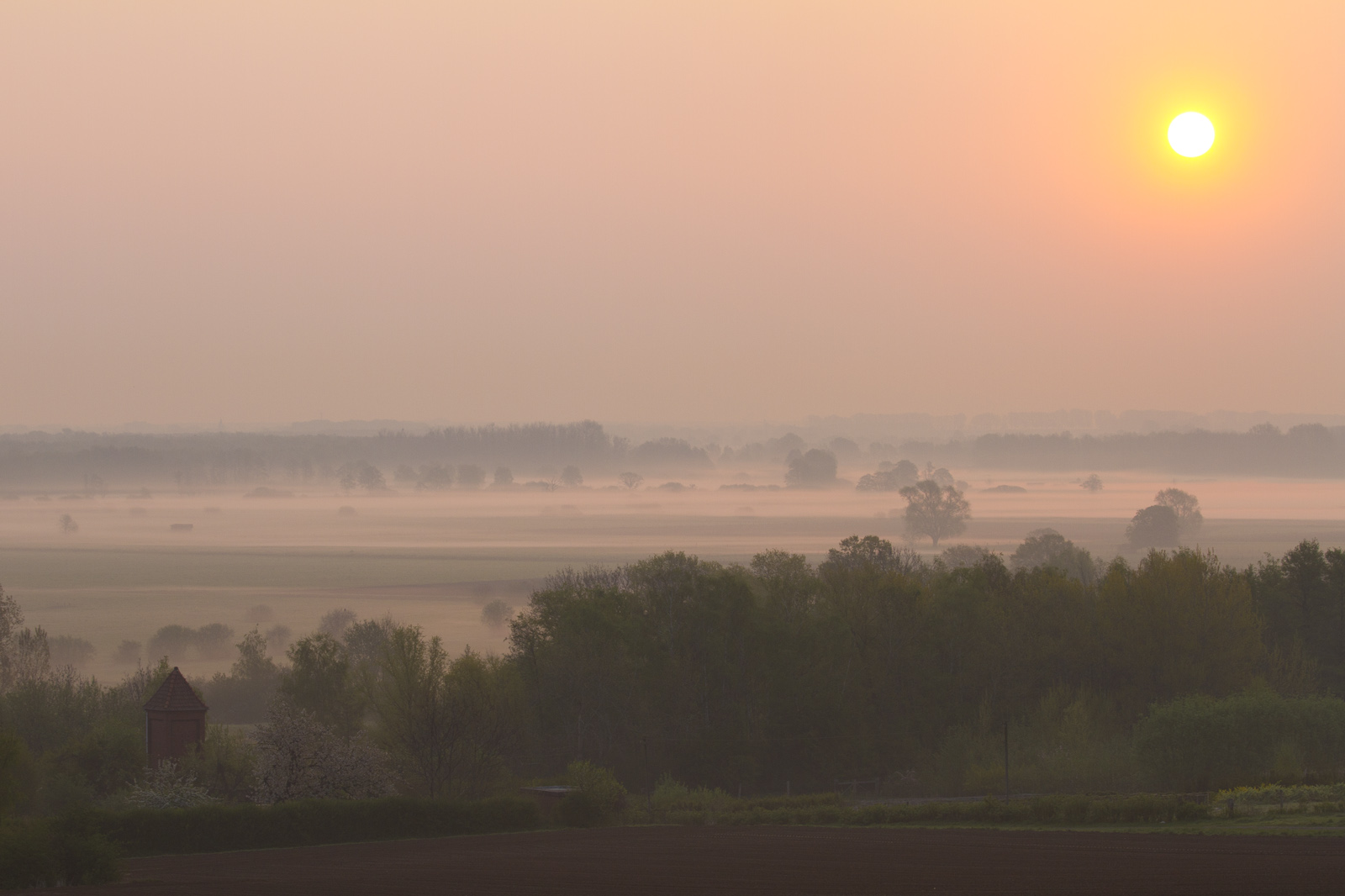 Sonnenaufgang - Morgens in Niedersachsen