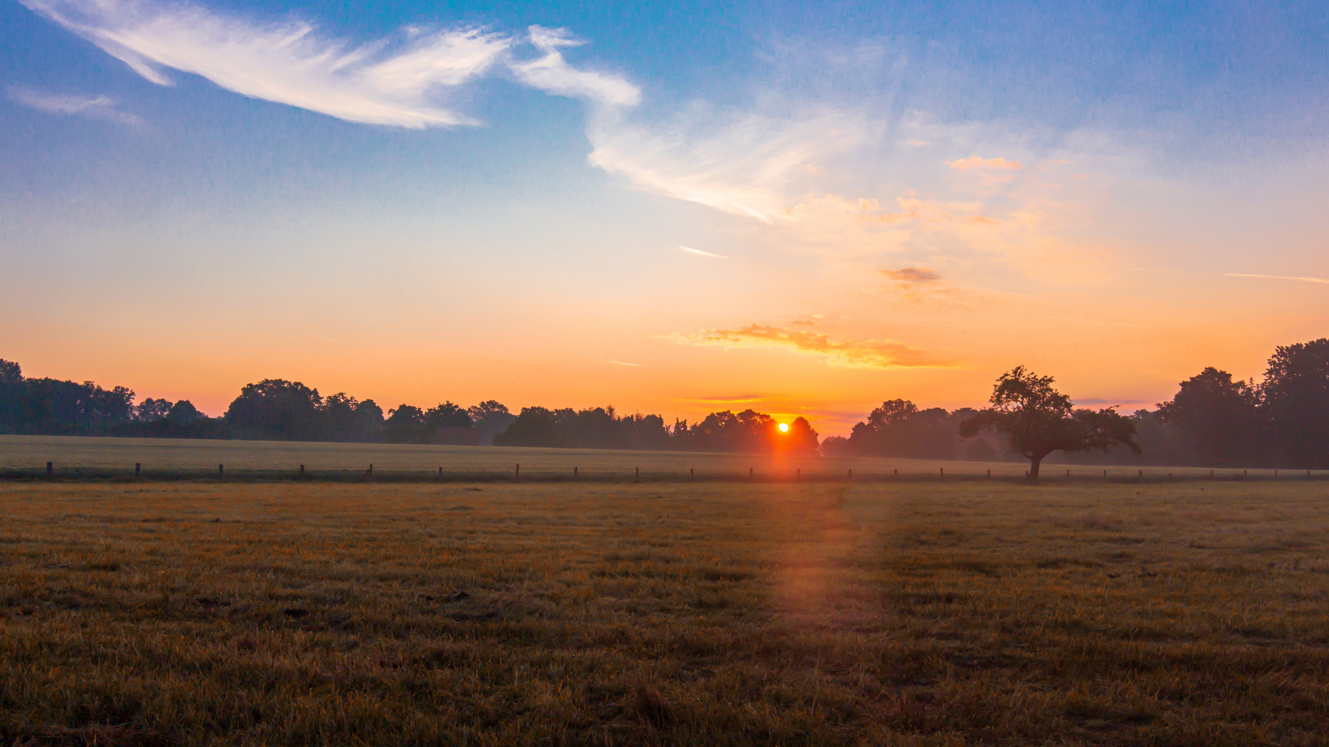 Sonnenaufgang Münsterland