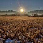 Sonnenaufgang Murnauer Moos im Winter