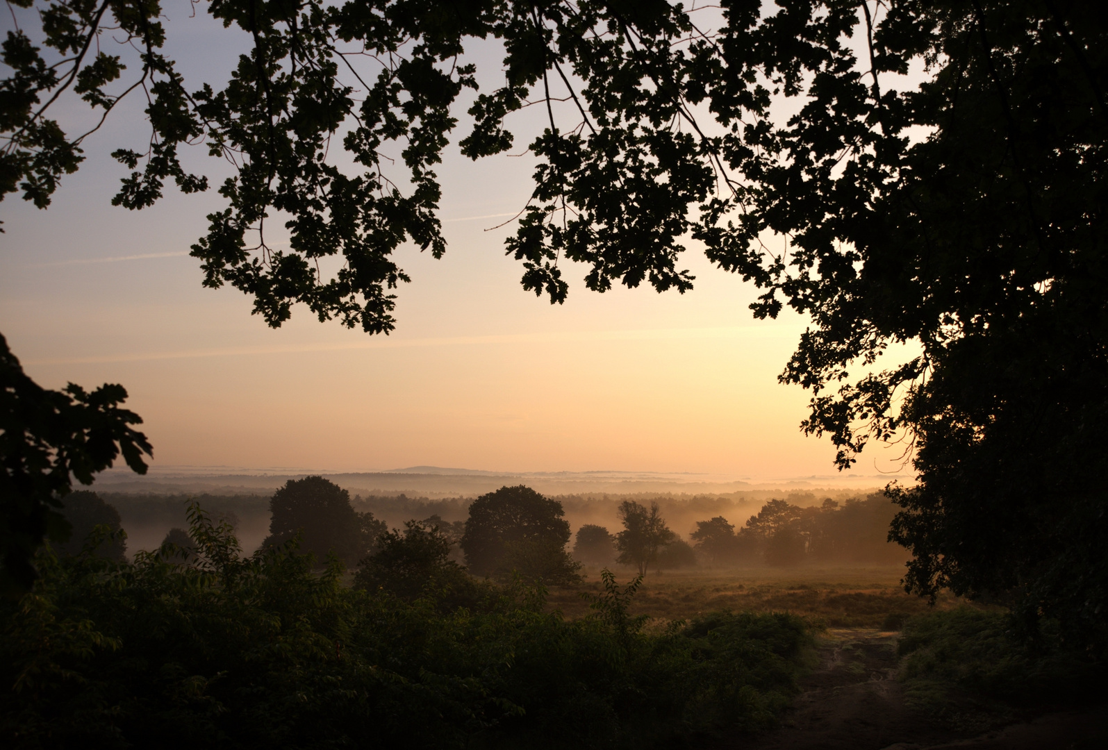 Sonnenaufgang nach dem Regen