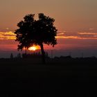 Sonnenaufgang nach einem langen Regentag