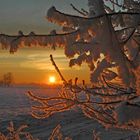 Sonnenaufgang nach einer frostkalten Nacht