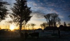 Sonnenaufgang- nach kalter Nacht