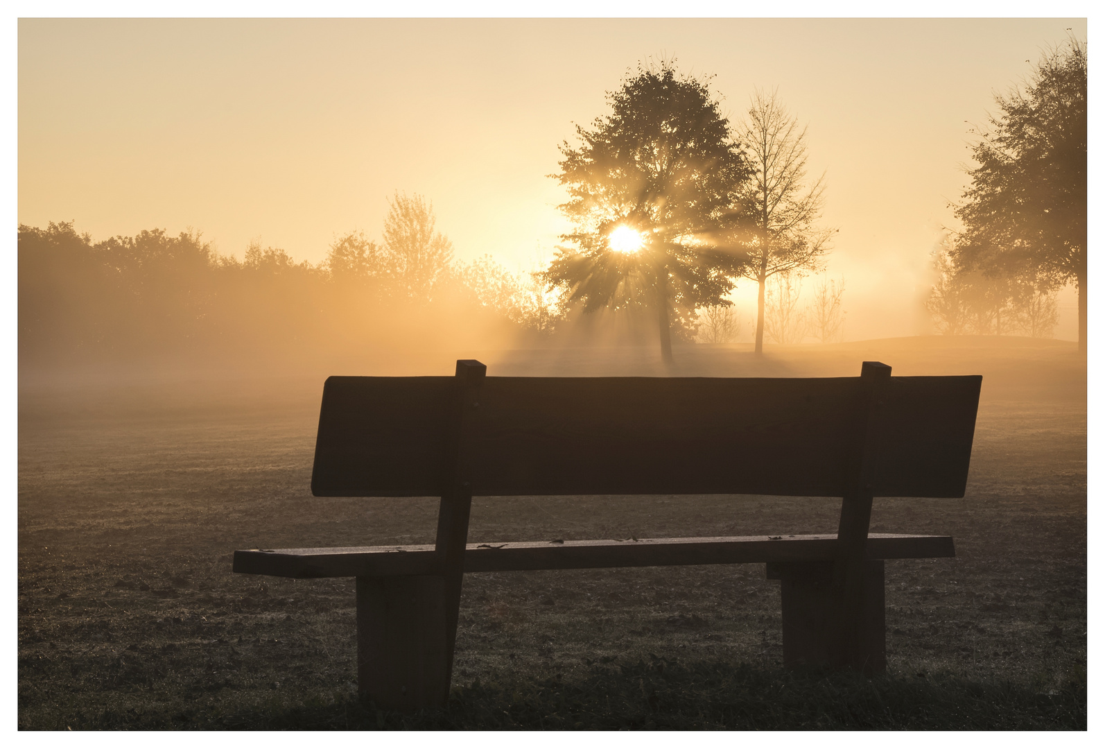 Sonnenaufgang, Nebel und Bank