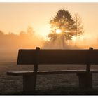 Sonnenaufgang, Nebel und Bank