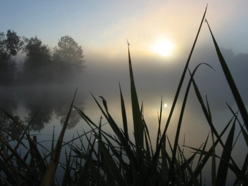 Sonnenaufgang Nebel und ein See um 7:57:46