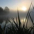 Sonnenaufgang Nebel und ein See um 7:57:46