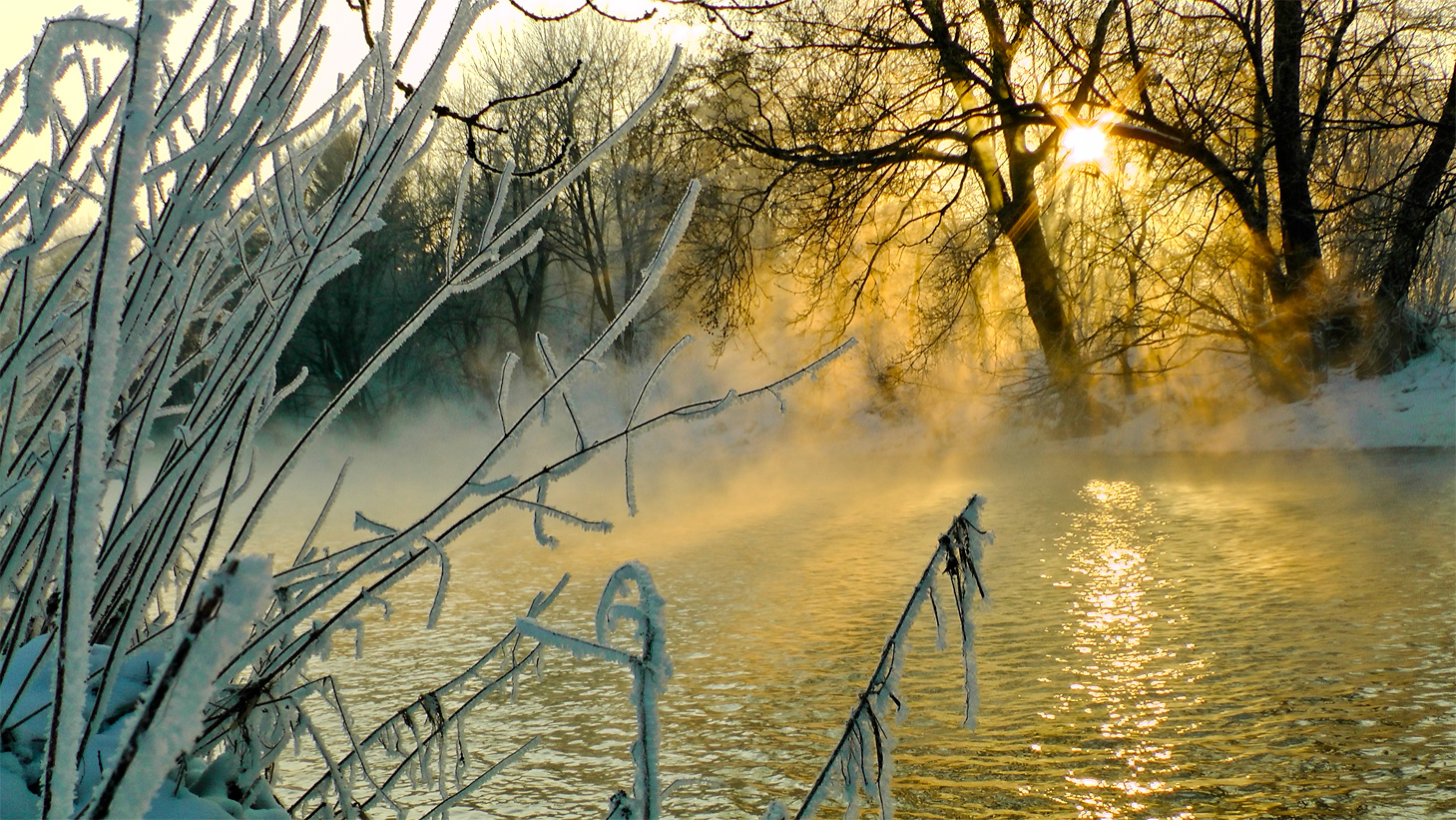 Sonnenaufgang Nebel und Reif