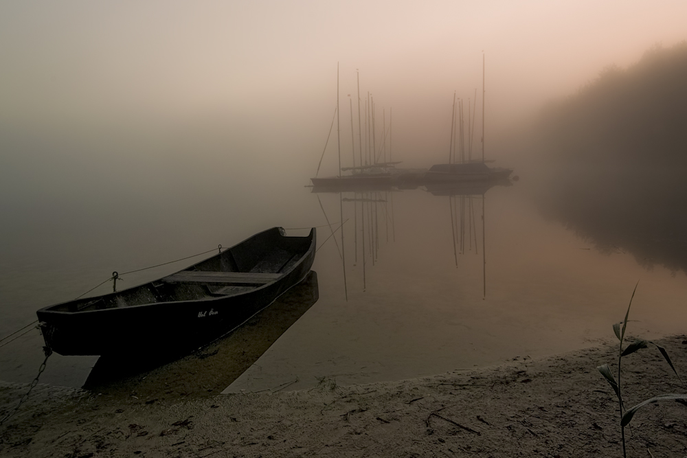 Sonnenaufgang , Nebel und See