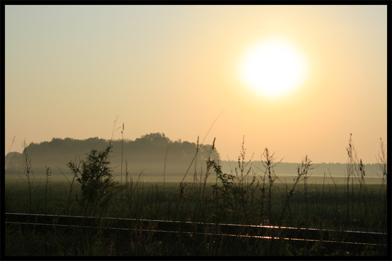 Sonnenaufgang - Nebelwiese