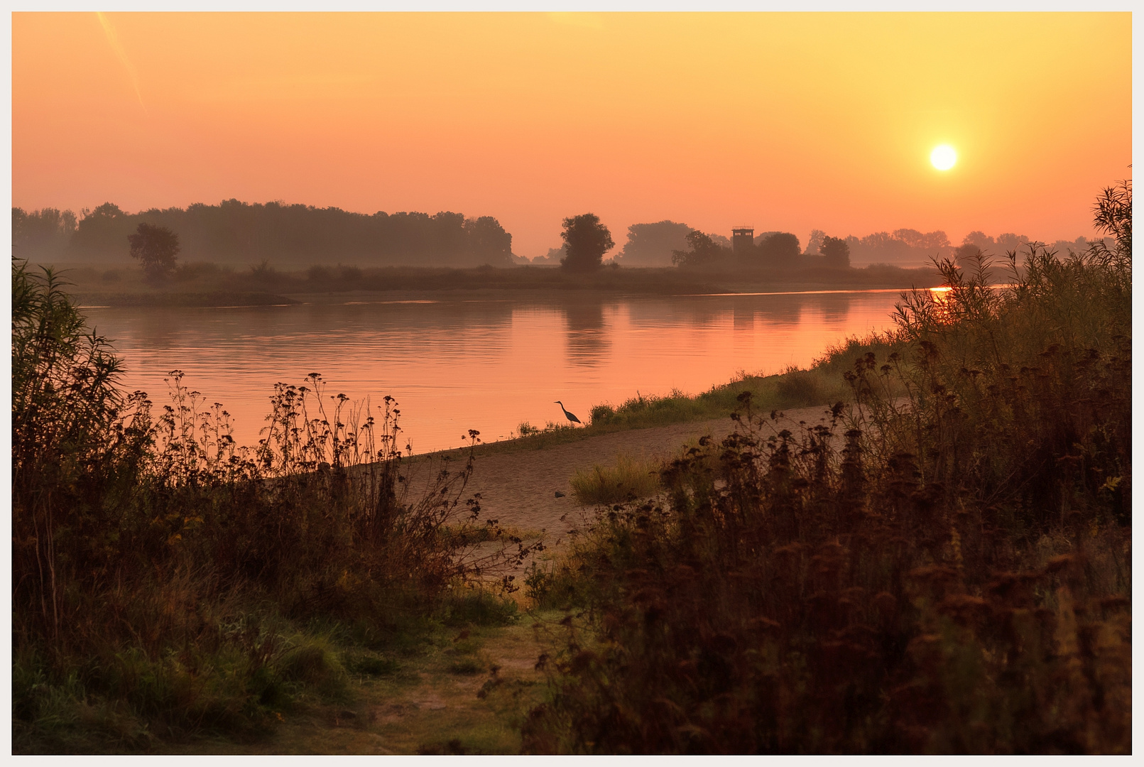 Sonnenaufgang Neu Darchau