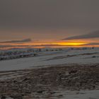 Sonnenaufgang Nordkap Nr.2