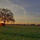 Sonnenaufgang Nürnberg, Großreuth bei Schweinau