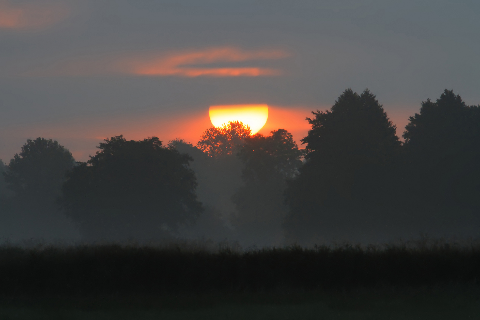 Sonnenaufgang Oberalsterniederung