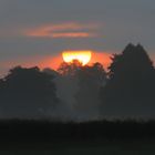 Sonnenaufgang Oberalsterniederung