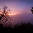 Sonnenaufgang oberhalb von Burg Eltz