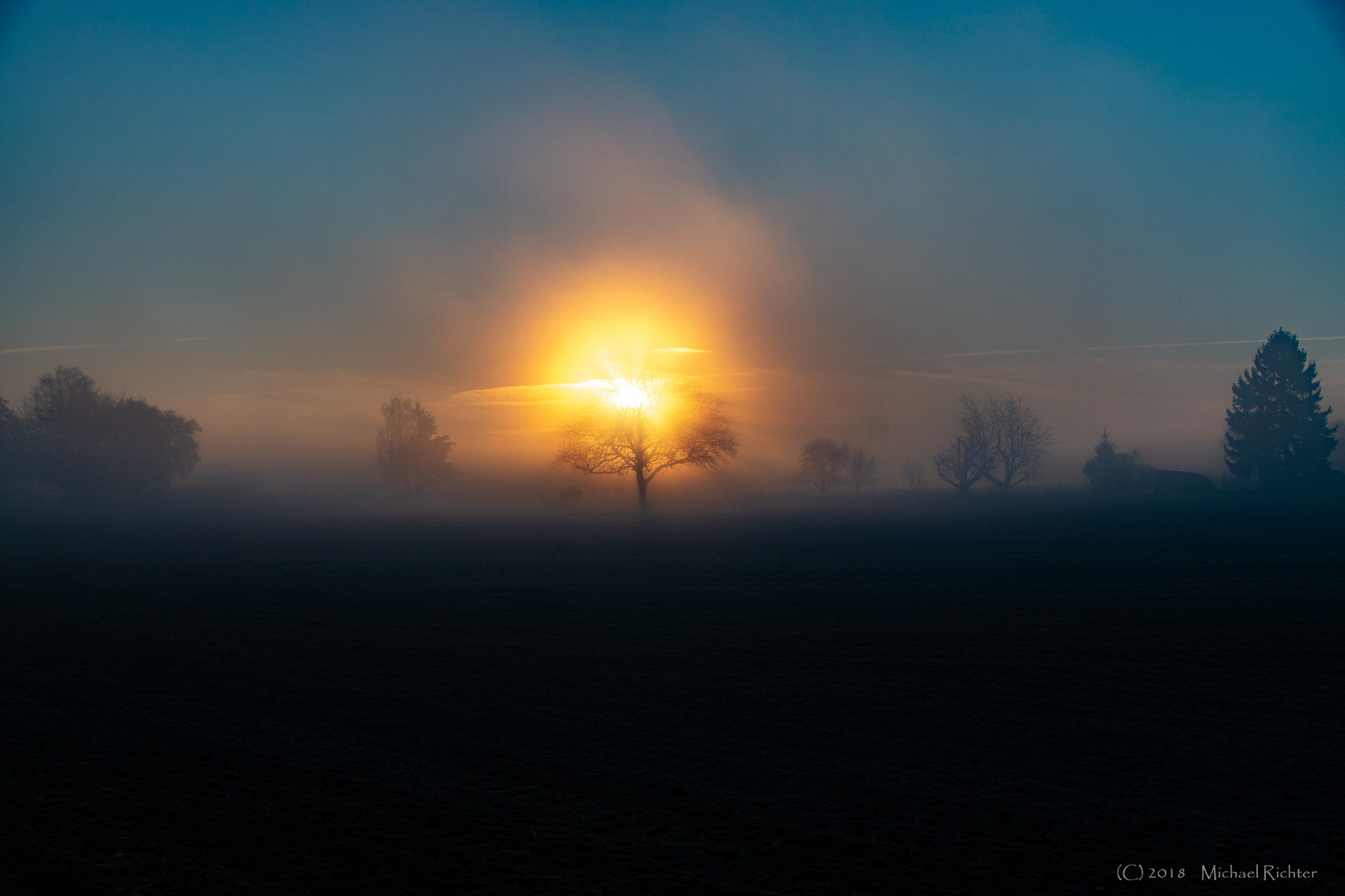 Sonnenaufgang oder brennender Baum