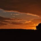 Sonnenaufgang östlich von Faßberg....