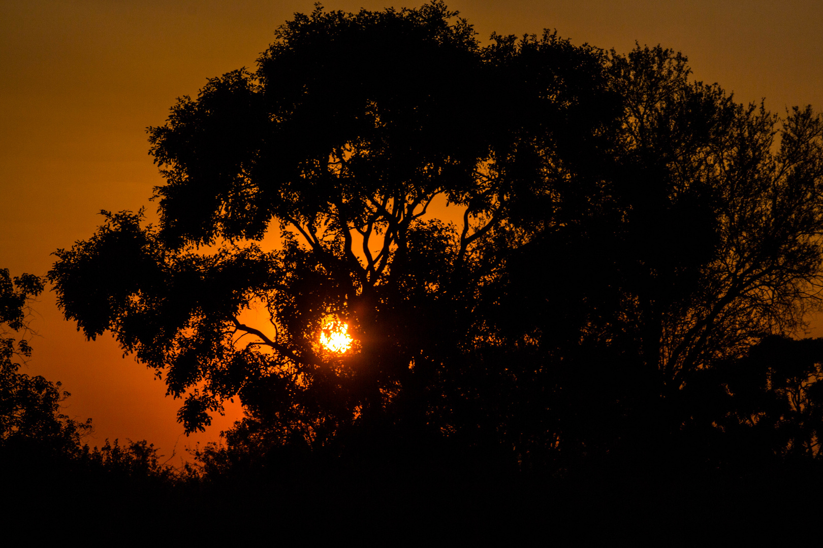 Sonnenaufgang Okavango 