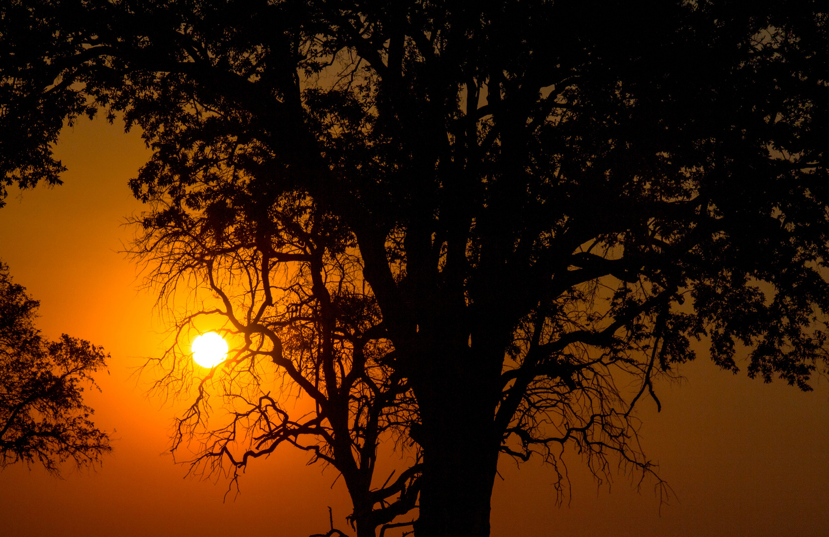 Sonnenaufgang Okavango 