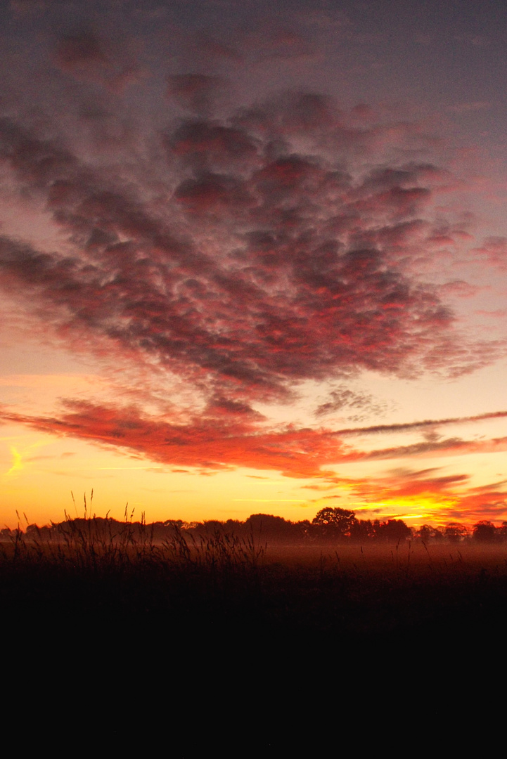 (Sonnenaufgang Oktober 22)-3