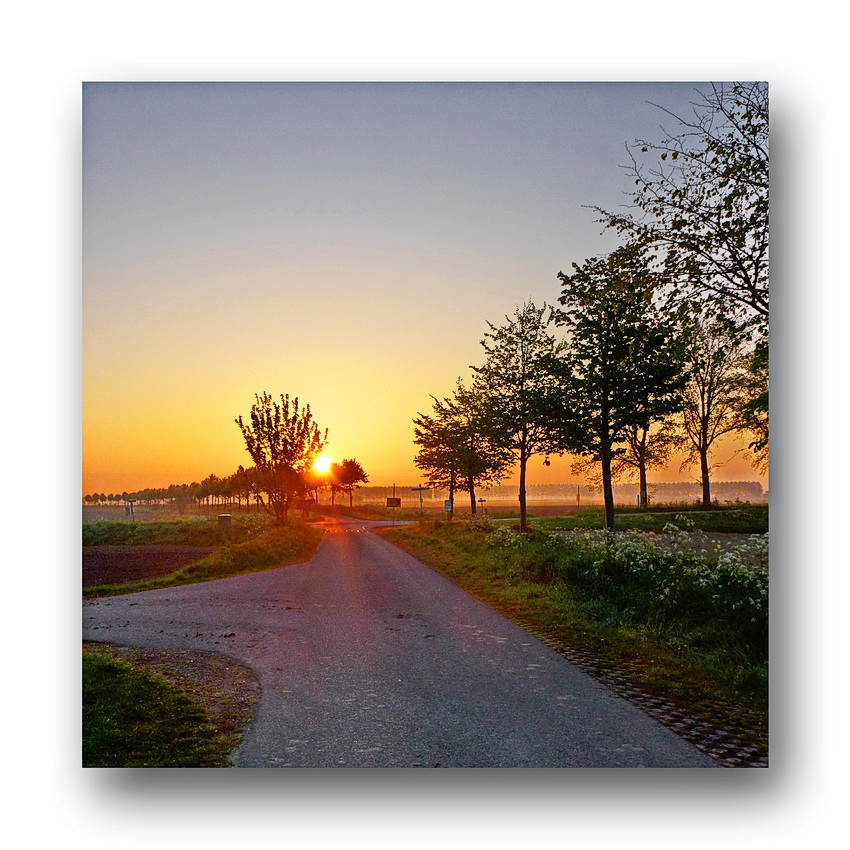 Sonnenaufgang Oranjedijk 26.04, 2014