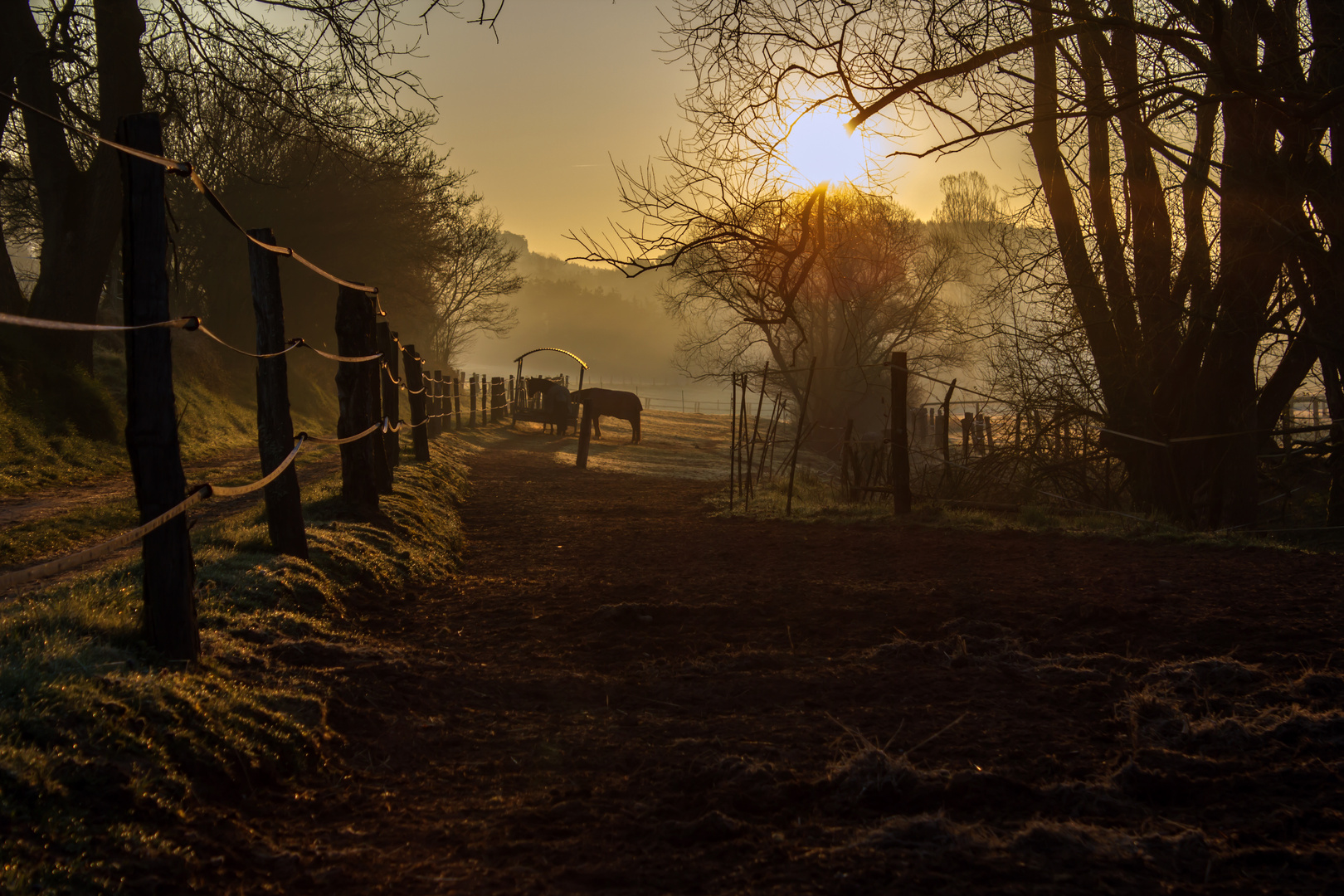 Sonnenaufgang PUR